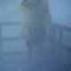 Homey on the Hurricane Deck! :D
